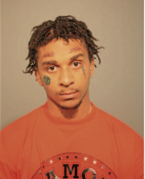 KELVIN G LANGSTON, Cook County, Illinois