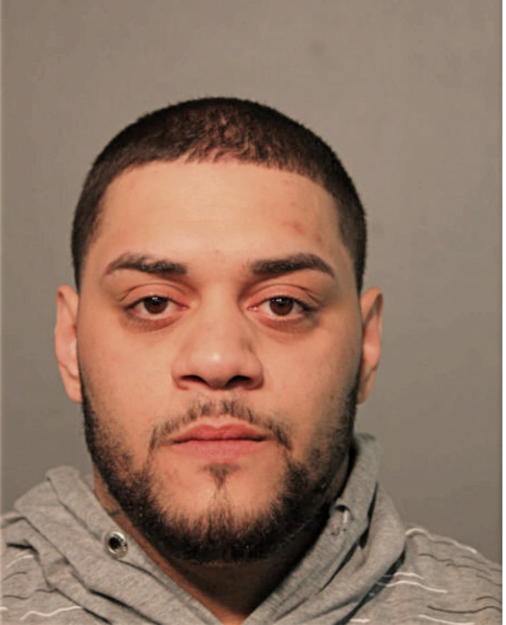 NICHOLAS DION ORTIZ, Cook County, Illinois