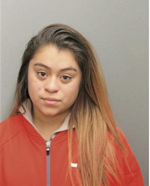 FLOR R PEREZ, Cook County, Illinois