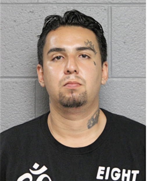 ROBERT M ROMO, Cook County, Illinois