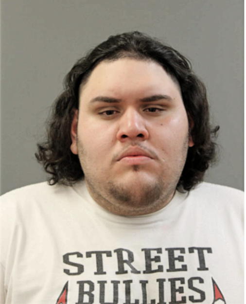 ADWAR LUIS SADAH, Cook County, Illinois