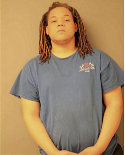 JUSTIN N SMITH, Cook County, Illinois