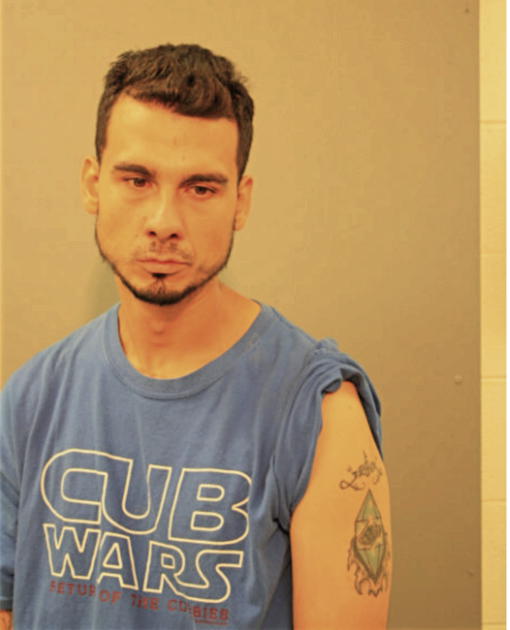 BERNARDINO TORRES, Cook County, Illinois