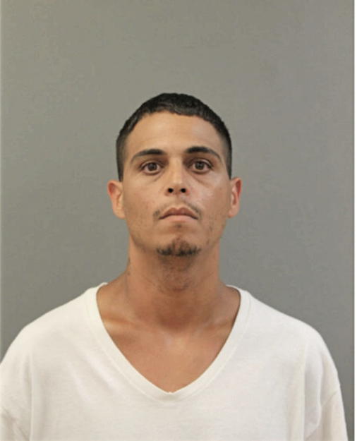 FELIX VEGA, Cook County, Illinois