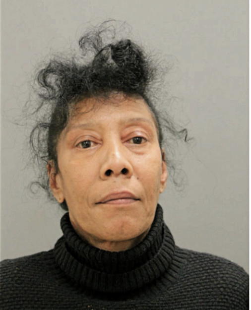BRIDGITTE T VILLANUEVA, Cook County, Illinois