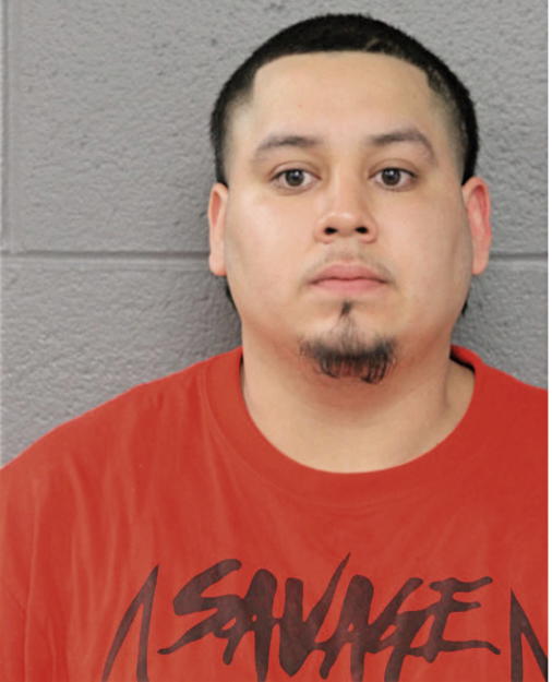GERARDO A VILLARREAL, Cook County, Illinois