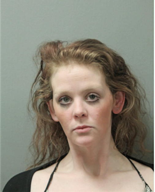 MICHELLE M VOLANT, Cook County, Illinois