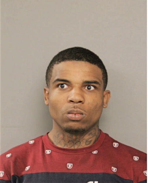 JAMARI L WILLIAMS, Cook County, Illinois