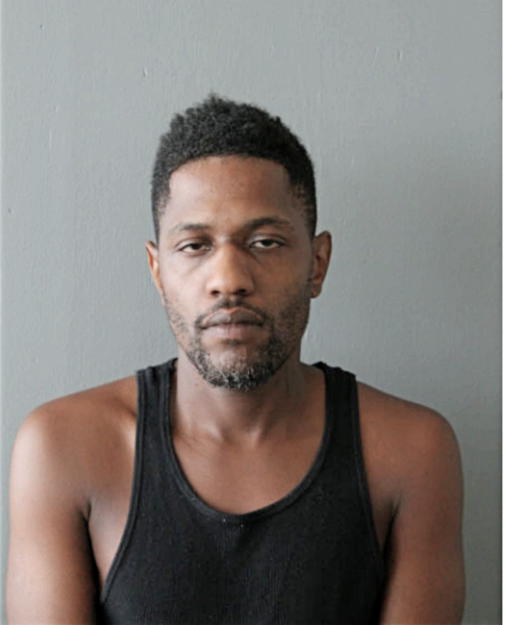 MICHAEL L WILLIAMS, Cook County, Illinois