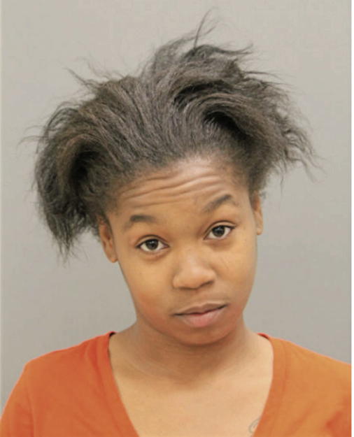 INA L WILSON, Cook County, Illinois