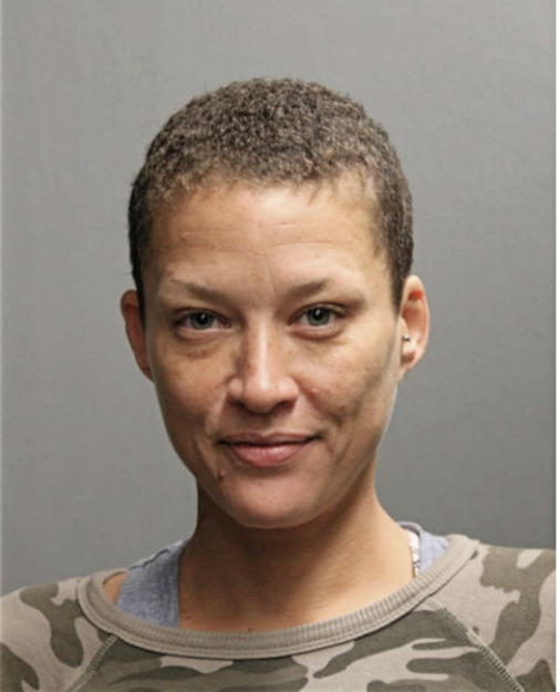 JESSILYN MARIE ANSBRO, Cook County, Illinois