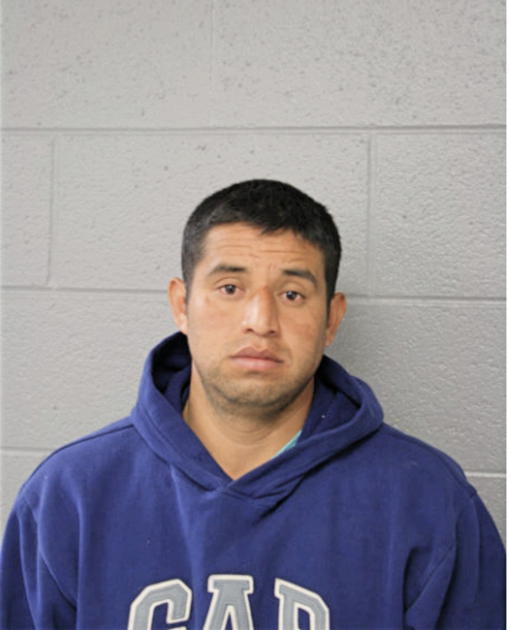 JUAN M ARRIAGA, Cook County, Illinois