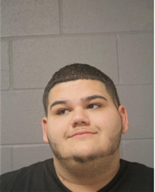ROBERTO M AYALA, Cook County, Illinois