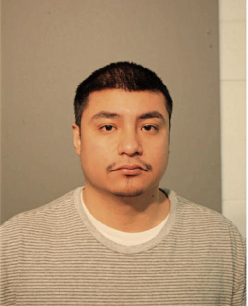 NOE BANUELOS, Cook County, Illinois