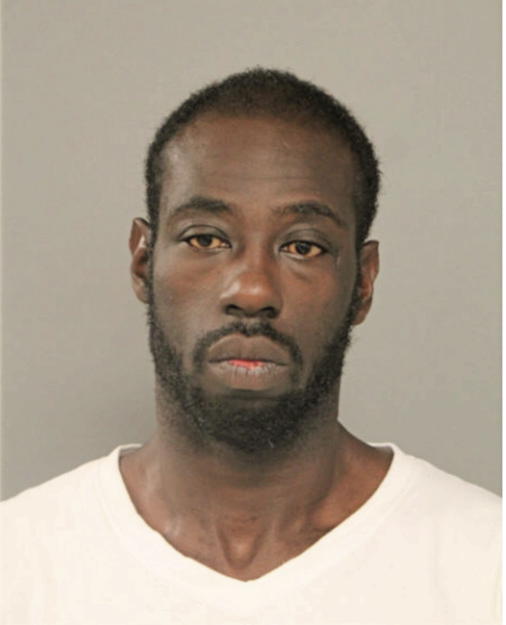 LEONARD L DORSETT, Cook County, Illinois