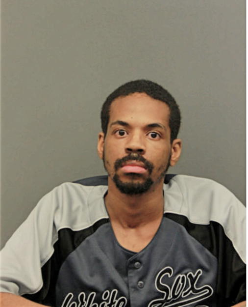 MICHAEL R GAINES, Cook County, Illinois