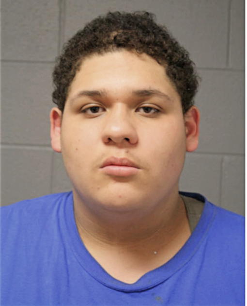 CARLOS GUZMAN, Cook County, Illinois