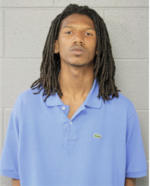 MICHAEL D HASTING, Cook County, Illinois