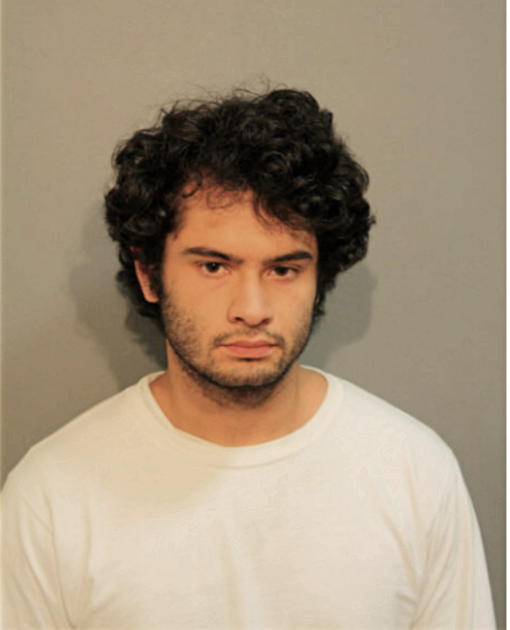 MICHAEL J DEATON, Cook County, Illinois