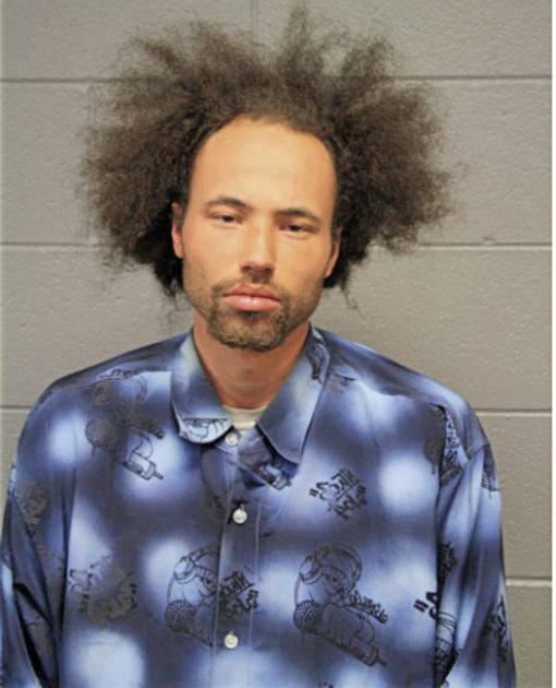 DAVID W JONES, Cook County, Illinois