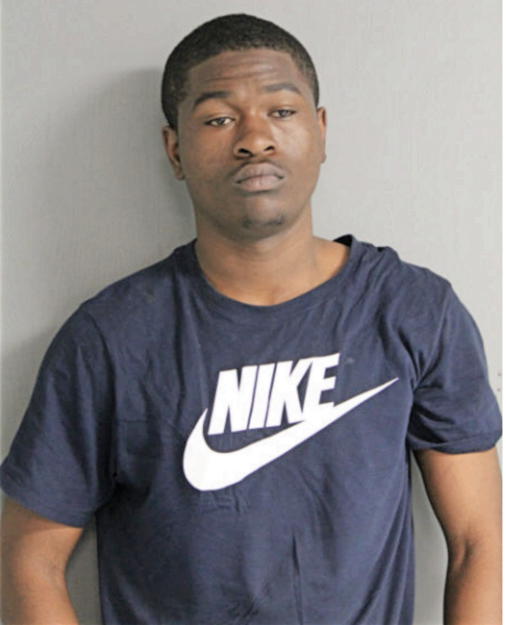 KAELYNN T LOGAN, Cook County, Illinois