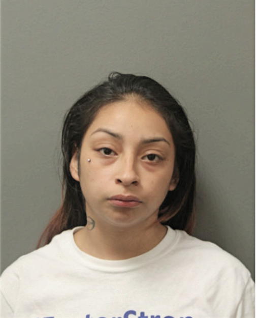 DALYLA A MARES, Cook County, Illinois