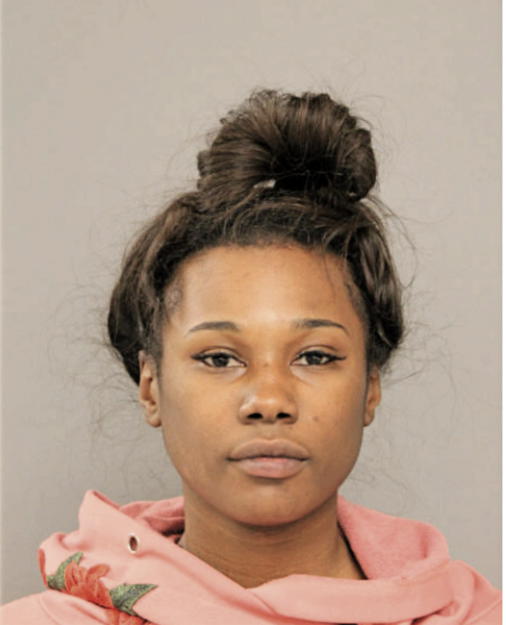 MICHELLE M MATHES, Cook County, Illinois