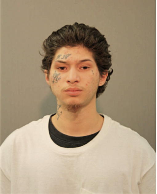 ADRIAN A OTERO, Cook County, Illinois
