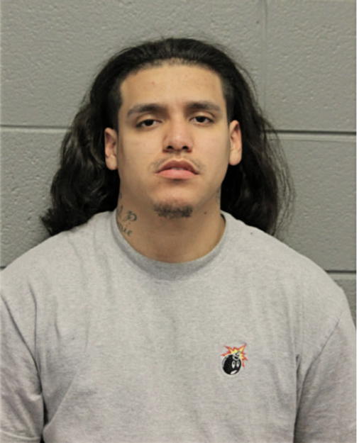 GIANCARLO PONS, Cook County, Illinois