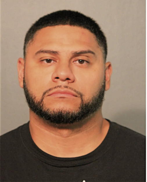 MICHAEL R RAMIREZ, Cook County, Illinois