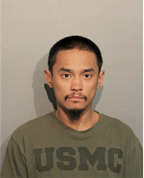 DOMINIC B RASPA, Cook County, Illinois
