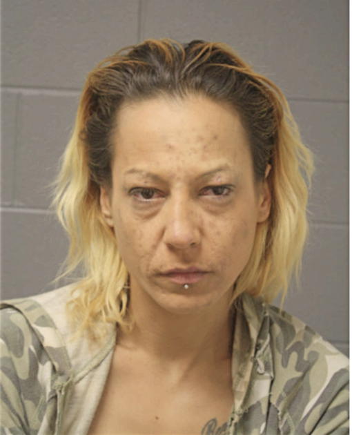 RENEE A ROMAN, Cook County, Illinois
