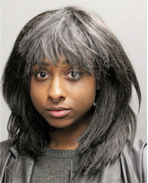 DANYELLE L SIMS, Cook County, Illinois