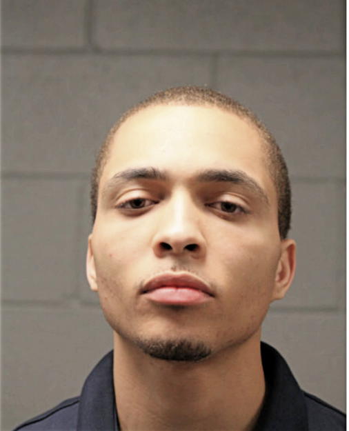 BRYANT K STINSON, Cook County, Illinois