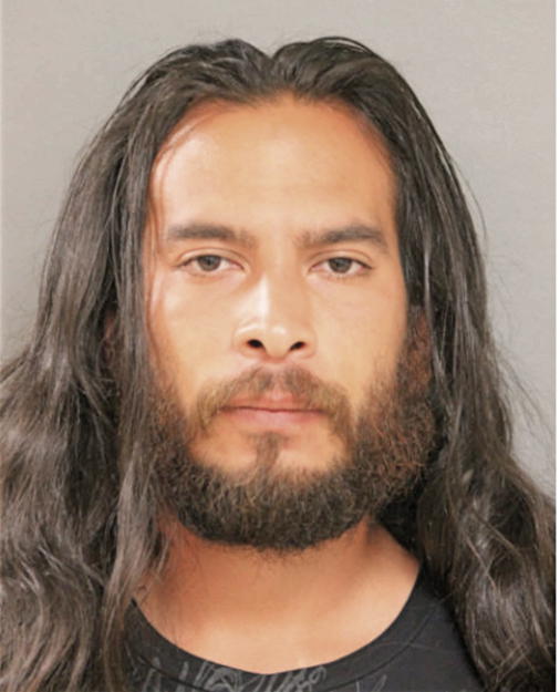 GABRIEL VELIZ, Cook County, Illinois