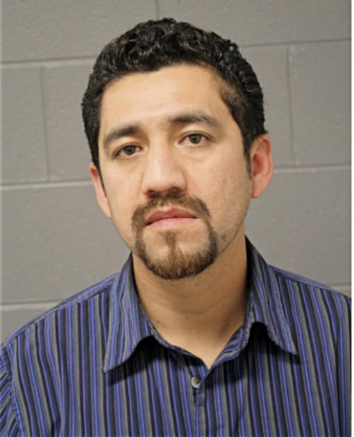 VICTOR M VERA, Cook County, Illinois