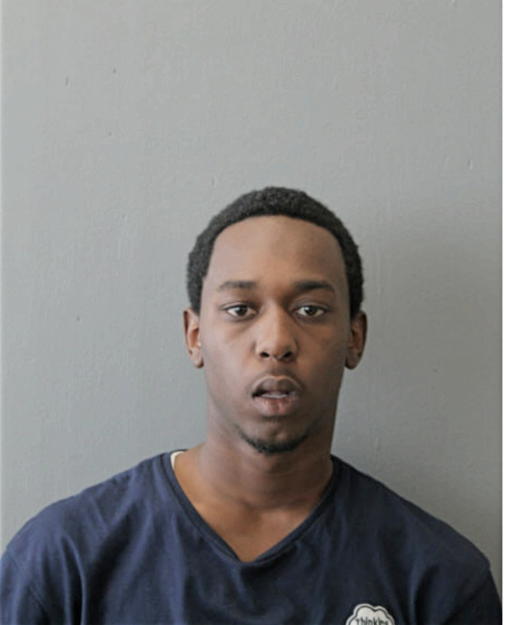 MATTHEW I WATTS, Cook County, Illinois