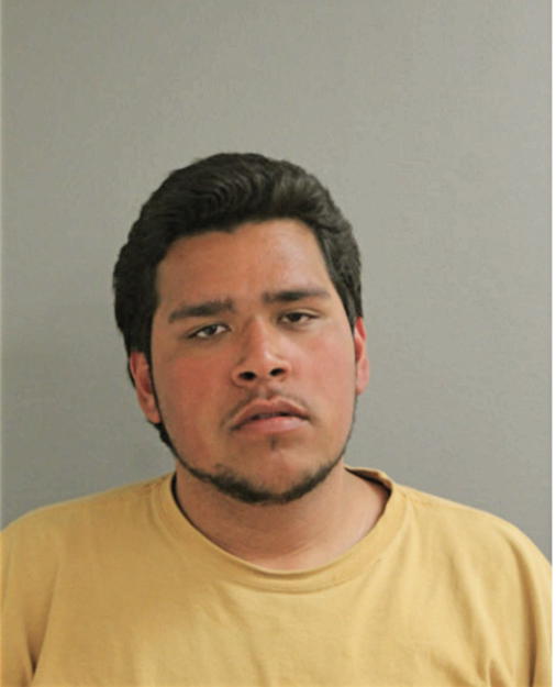 ERIC ALCANTAR, Cook County, Illinois