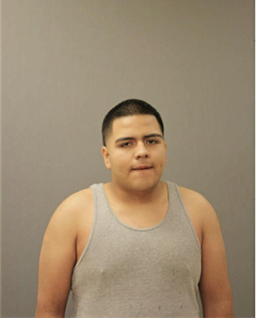 SERGIO ALVINO, Cook County, Illinois