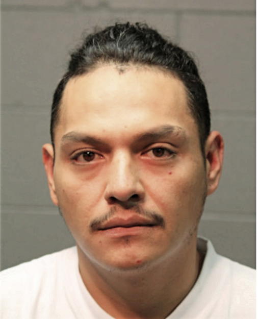 ELIEL AVELAR, Cook County, Illinois