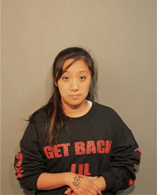 SHUAI BIAN, Cook County, Illinois