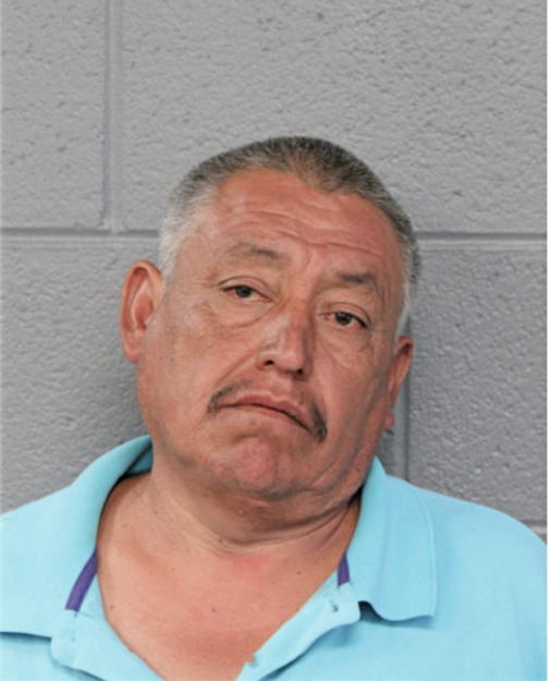 ERNERSTO C TAPIA, Cook County, Illinois