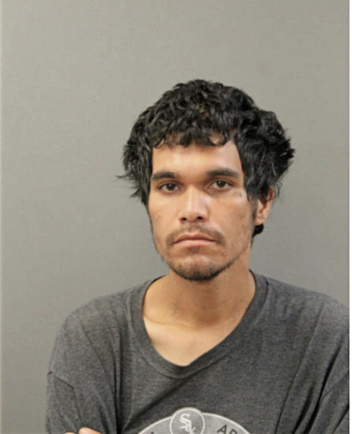 GEOVEL FELICIANO, Cook County, Illinois