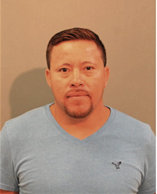 ALFREDO O FLORES, Cook County, Illinois