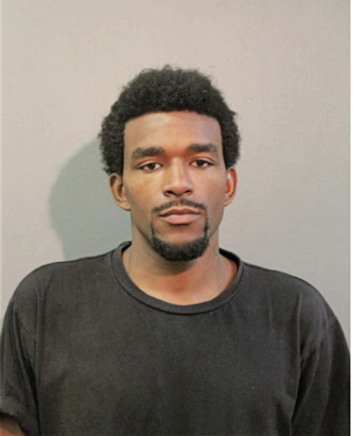 DARRYL J FREEMAN, Cook County, Illinois