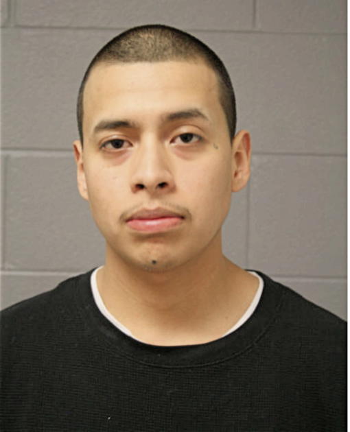 IVAN GAMA, Cook County, Illinois