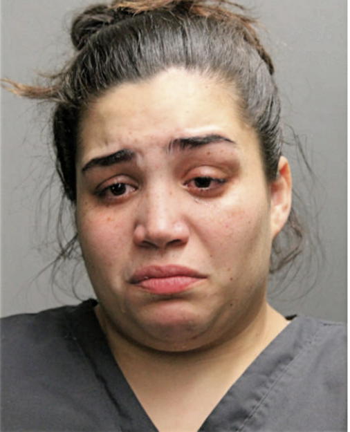 ARNALIS GONZALEZ, Cook County, Illinois
