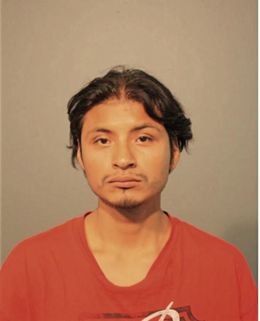 JOSE A GUARNEROS, Cook County, Illinois