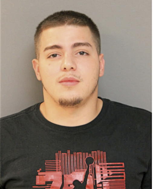 ALCIDES HERNANDEZ, Cook County, Illinois