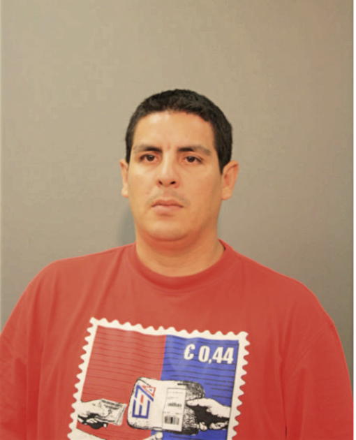 JOSE S HERNANDEZ, Cook County, Illinois
